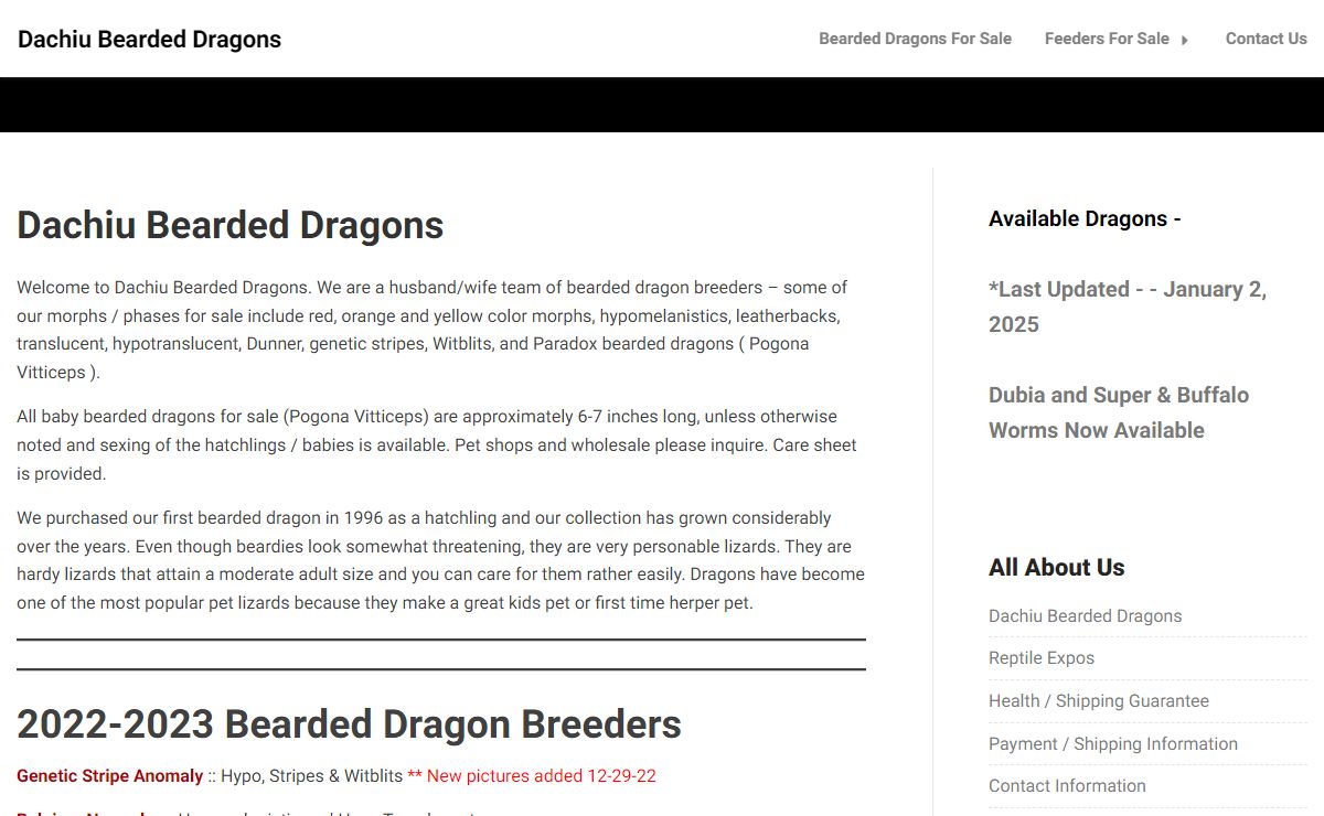 Dachiu Bearded Dragons | Bearded Dragon Breeder