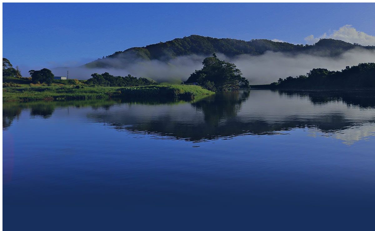 Daintree Accommodation - Daintree Riverview Lodges & Van Park