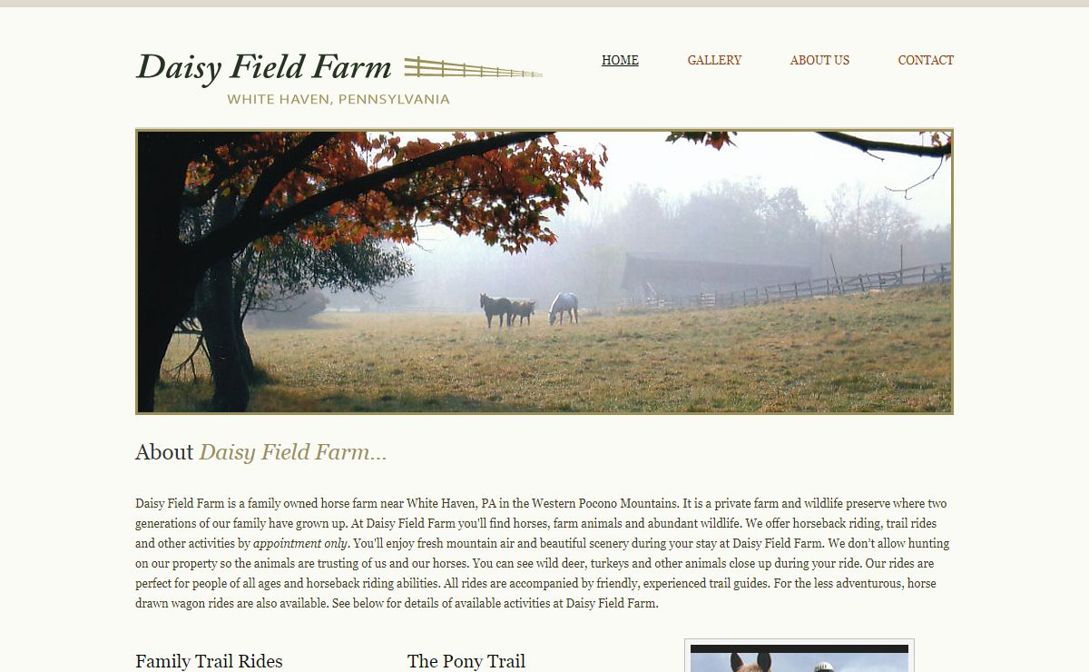 Pocono Trail Rides, Horseback Riding, Pony Rides - Daisy Field Farm