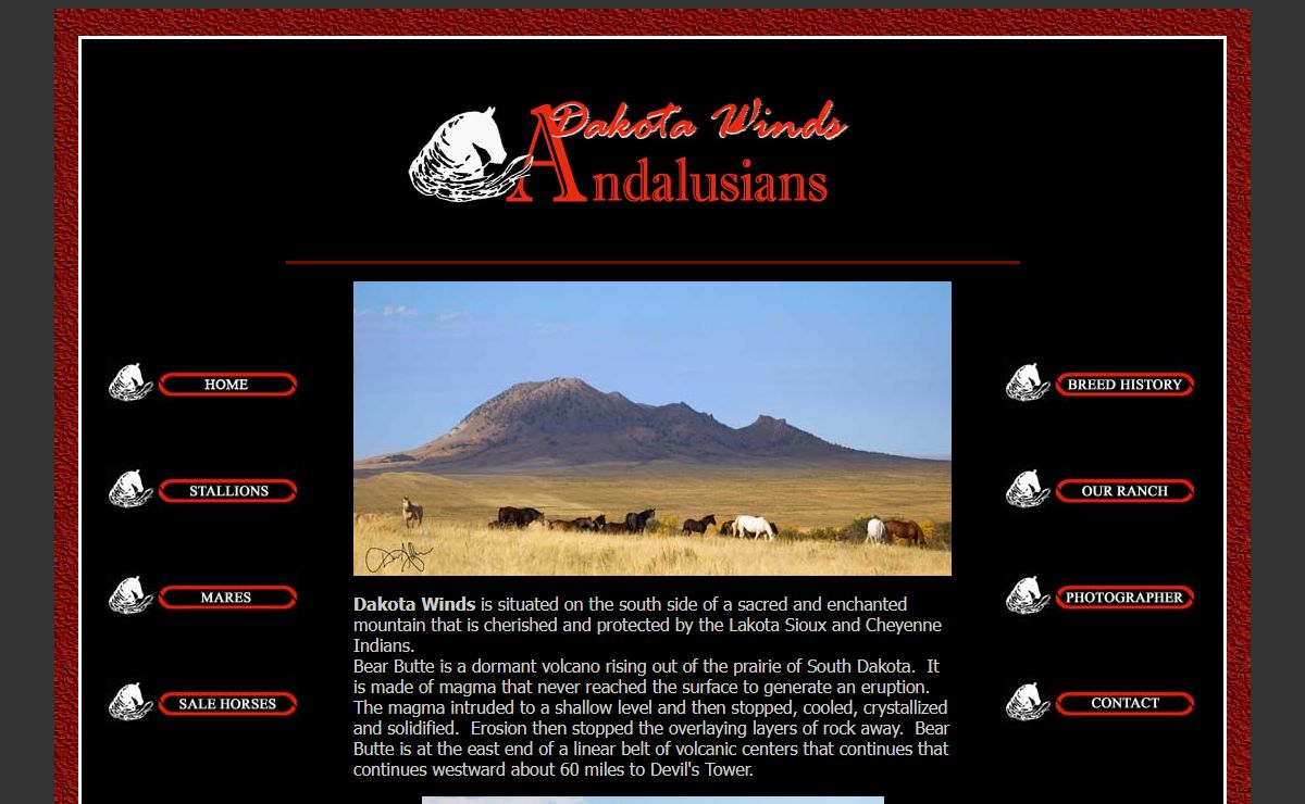 Dakota Winds Andalusians - Home