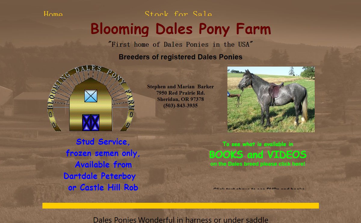 Blooming Dales Pony Farm