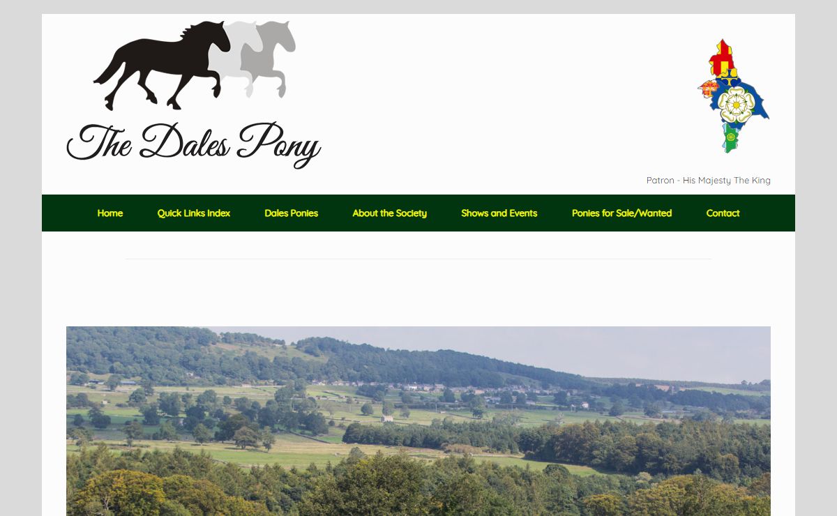 Dales Pony Society – The Great All Rounder