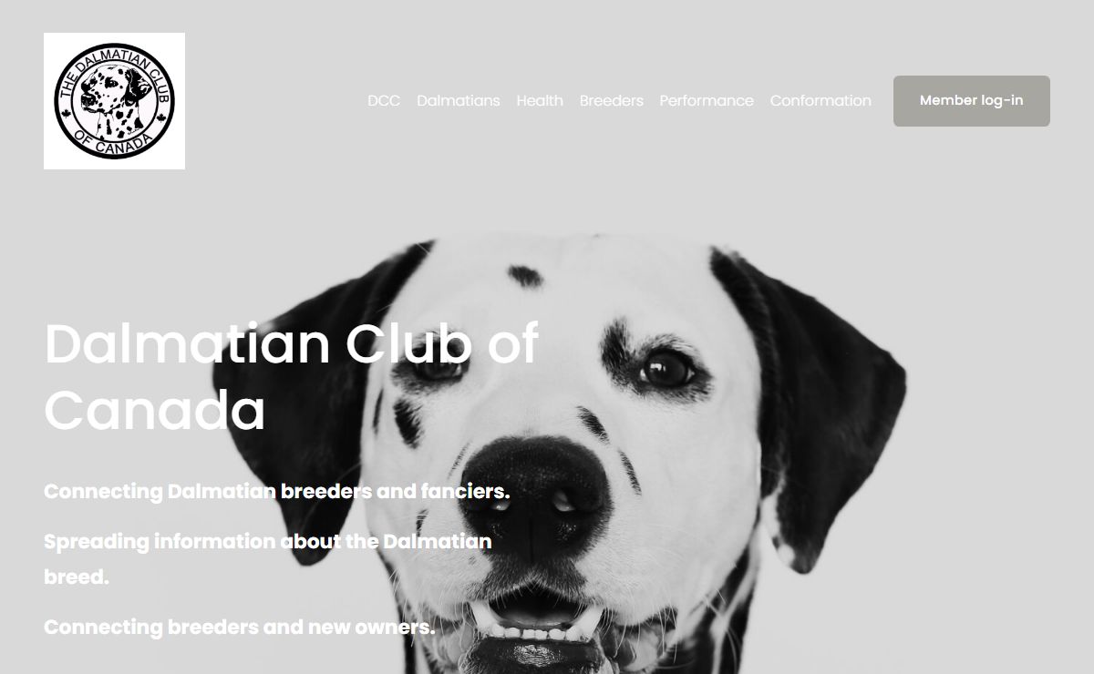 Dalmatian Club of Canada