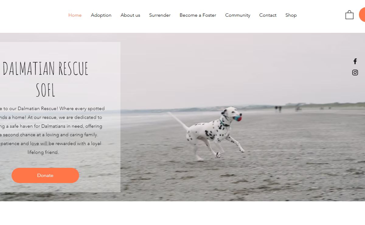 Home | Dalmatian Rescue