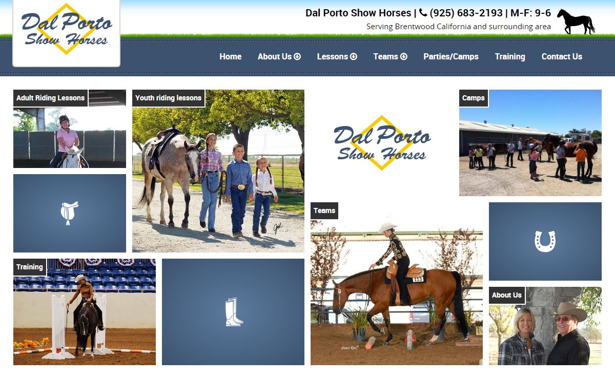 Riding Lessons Brentwood | Equestrian Teams |Horse Training California