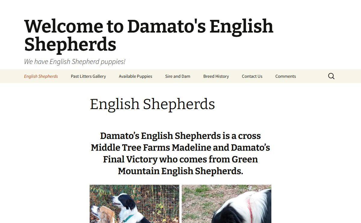Welcome to Damato's English Shepherds | We have English Shepherd puppies!