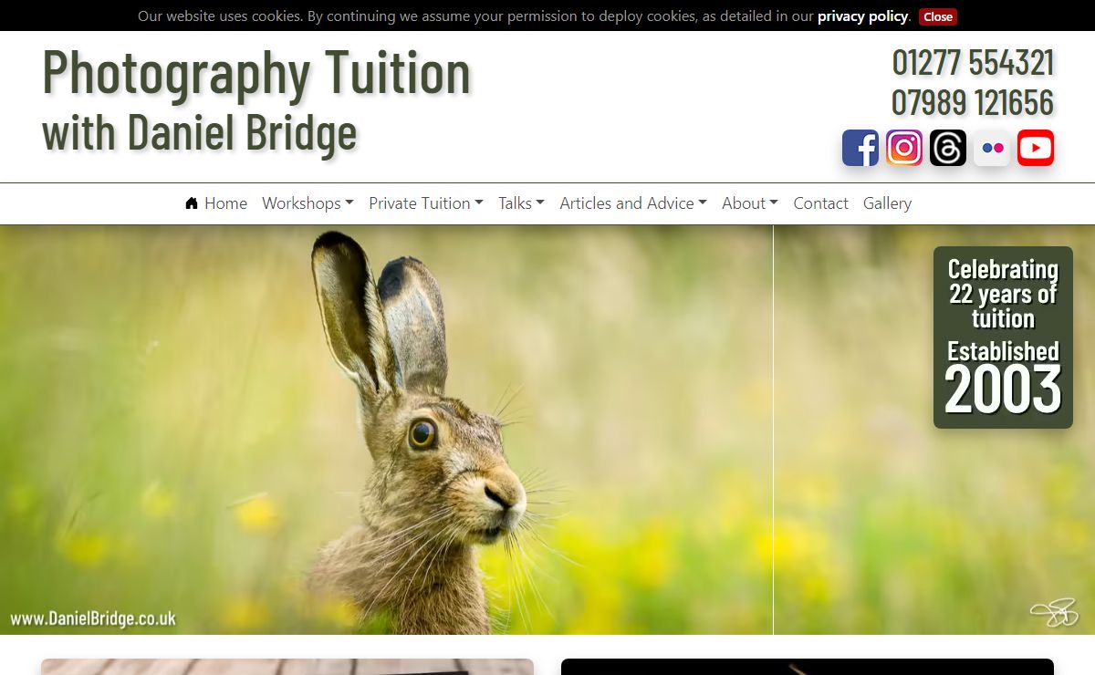 Photography Workshops, Courses, and Tuition in Essex with Daniel Bridge