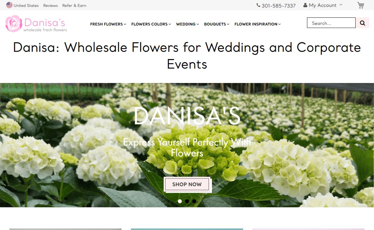 Wholesale Flowers | D.C. Metro Area | Danisa Flowers