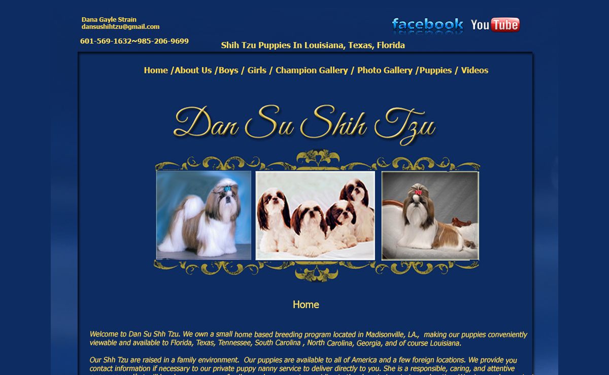 Louisiana Texas Alabama Shih Tzu puppies | Shih Tzu puppies | Dan Su Shih Tzu