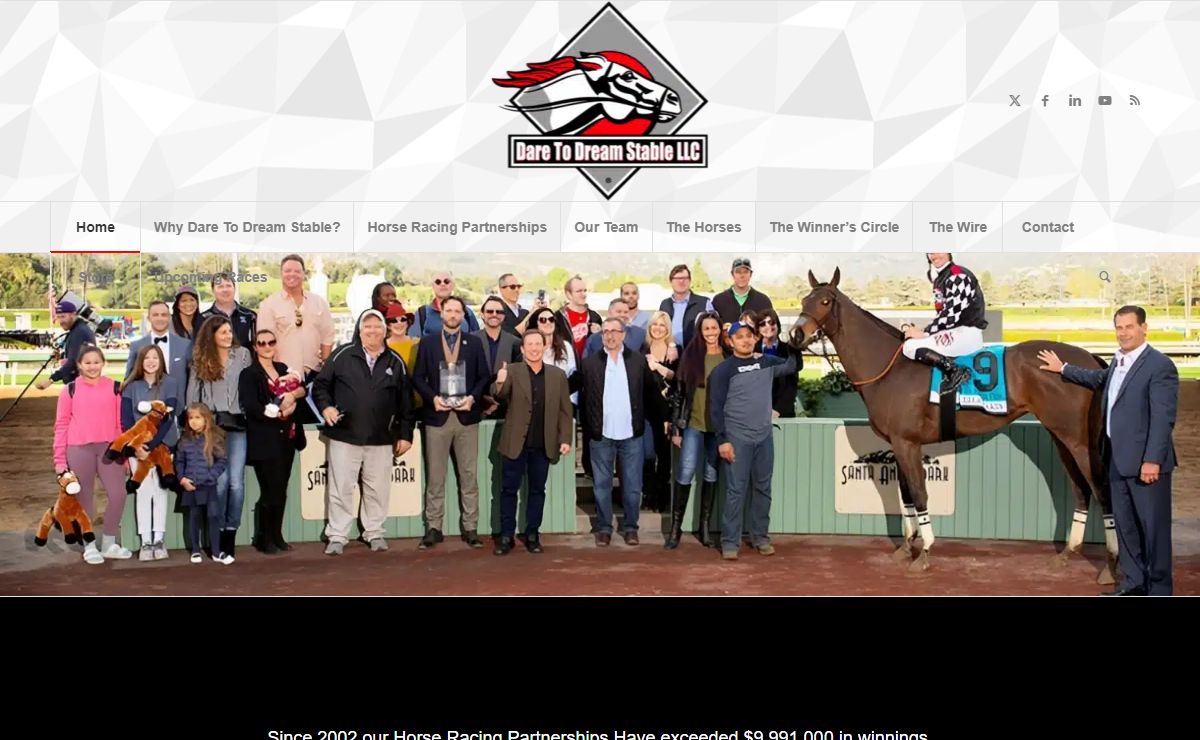 Horse Racing Partnerships - Home