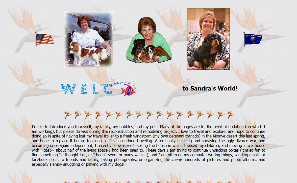 Welcome to Sandra's World!