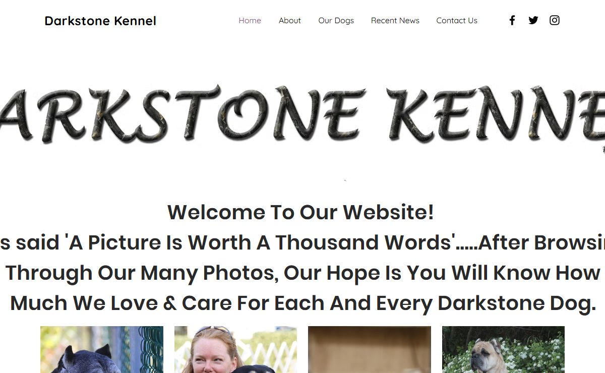 Cane Corso Breeder Canada | Darkstone Kennel