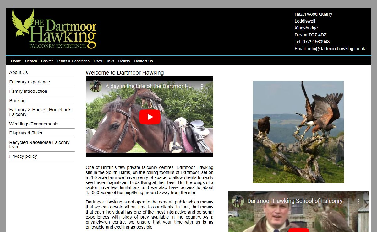Dartmoor Hawking Falconry Experience Days Devon
