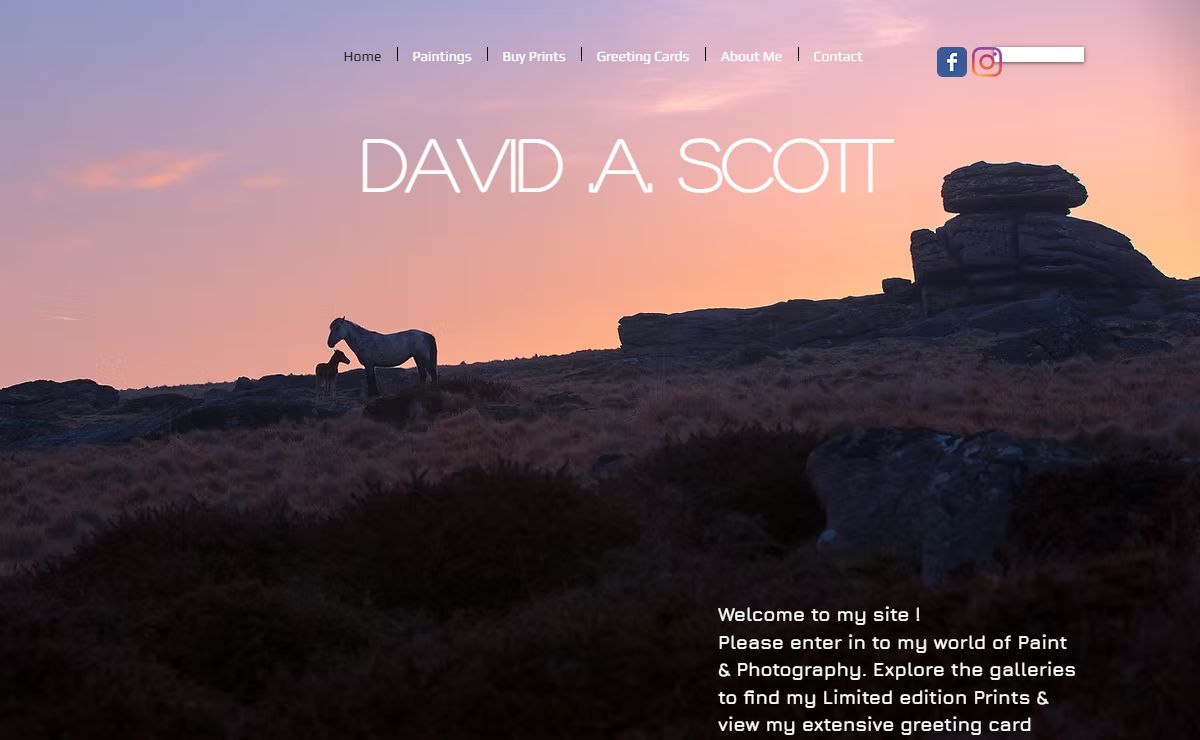 David Scott Wildlife Art & Photography Devon UK