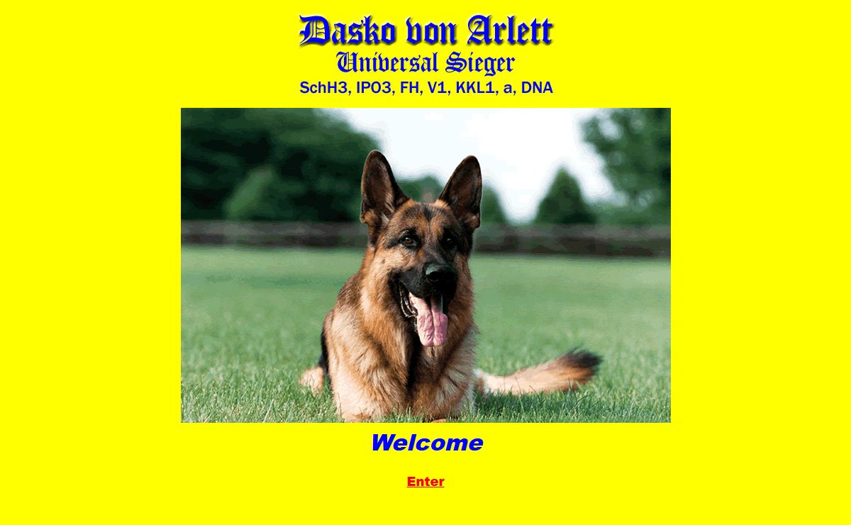 Dasko Von Arlett Universal Sieger SchH3 IPO3 V KKL1 a DNA