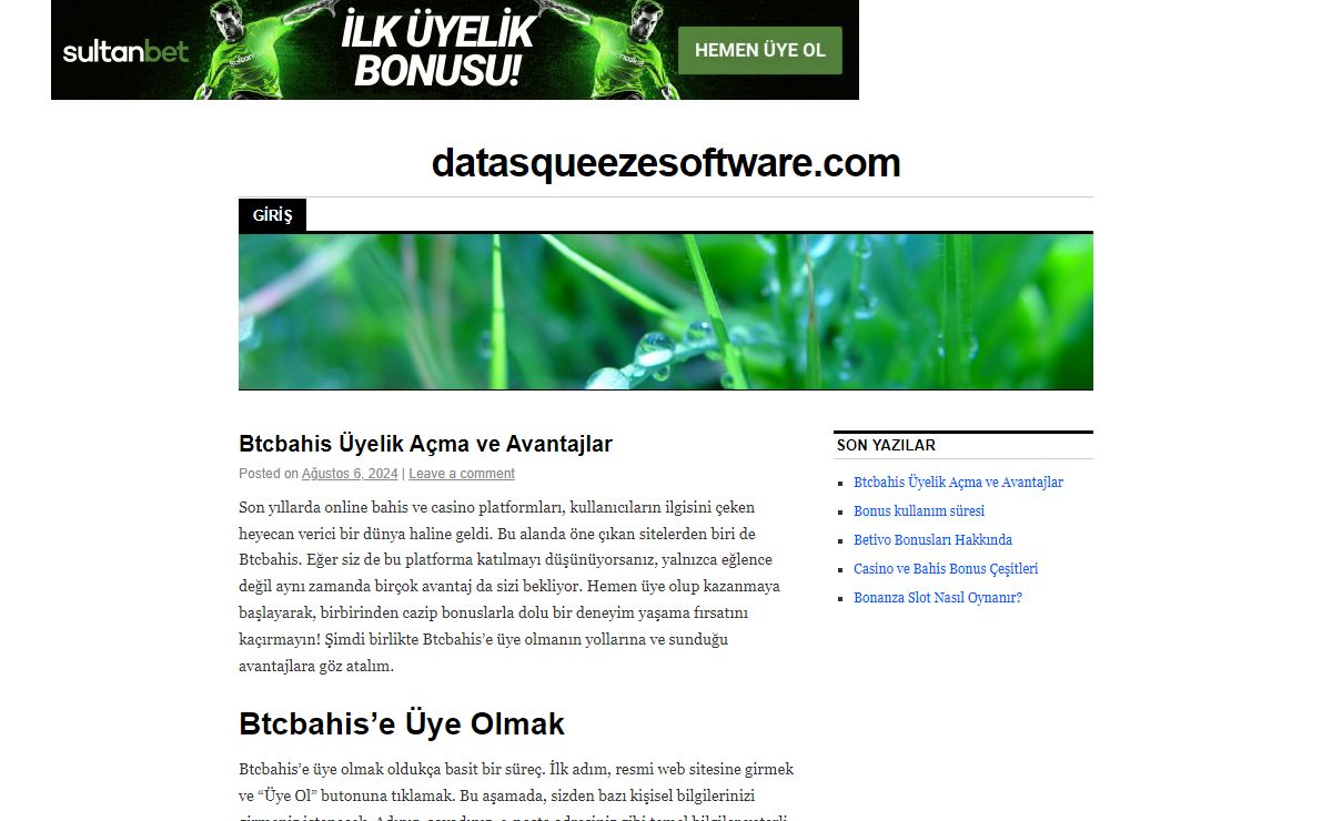 datasqueezesoftware.com