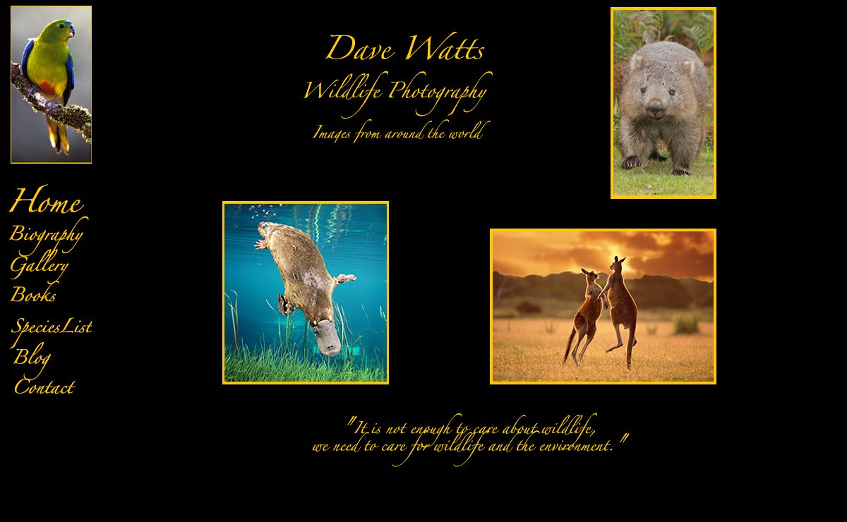 Dave Watts Wildlife Photographer