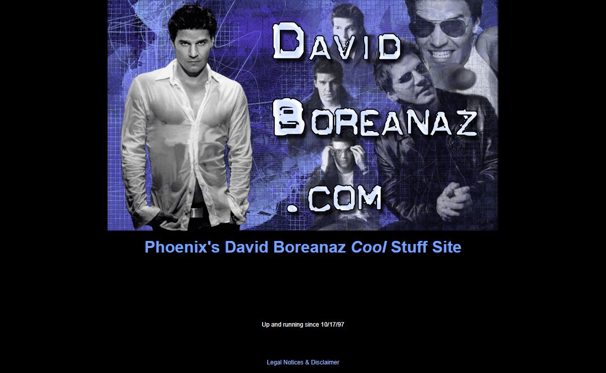 David Boreanaz .com: Phoenix's David Boreanaz Cool Stuff