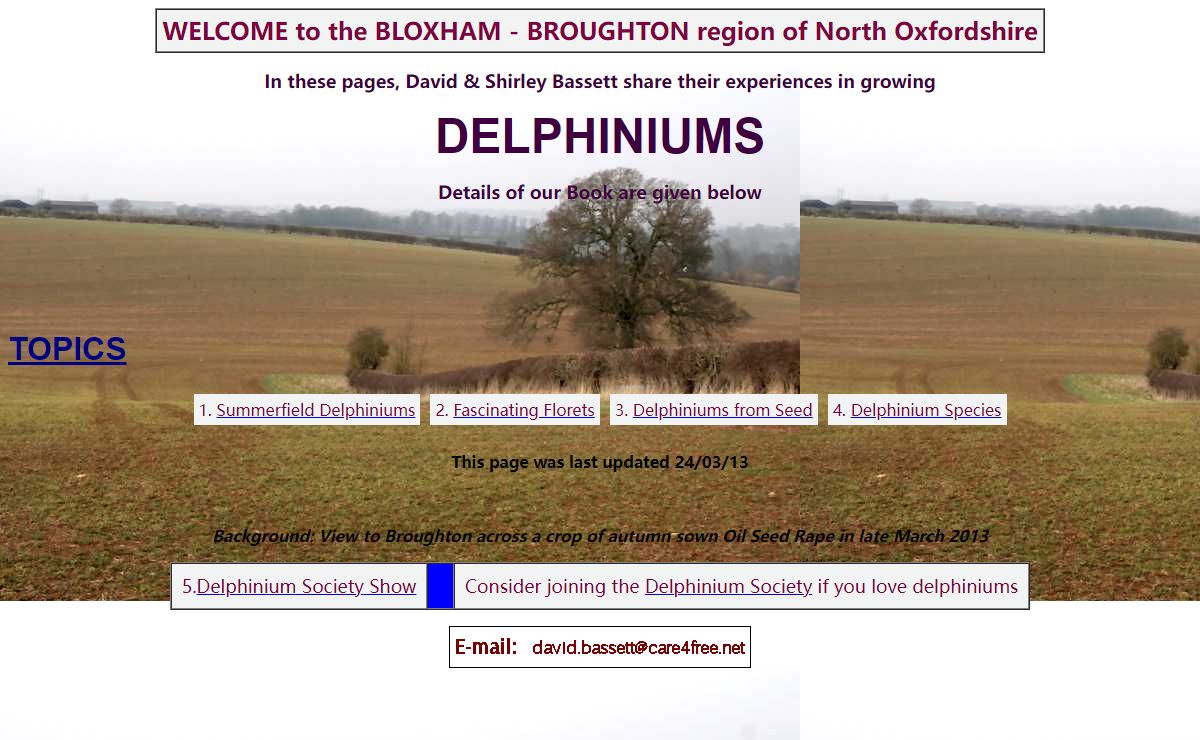 David and Shirley Bassett's delphiniums