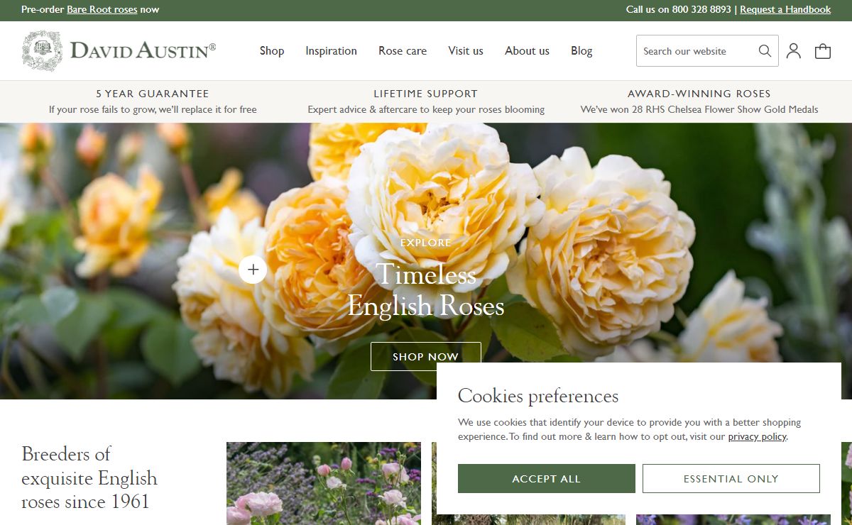 David Austin Roses - Bare root roses, Container roses, English Roses