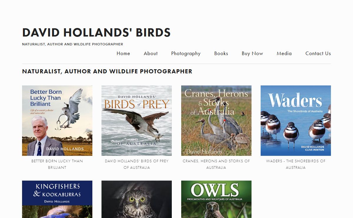David Hollands' Birds