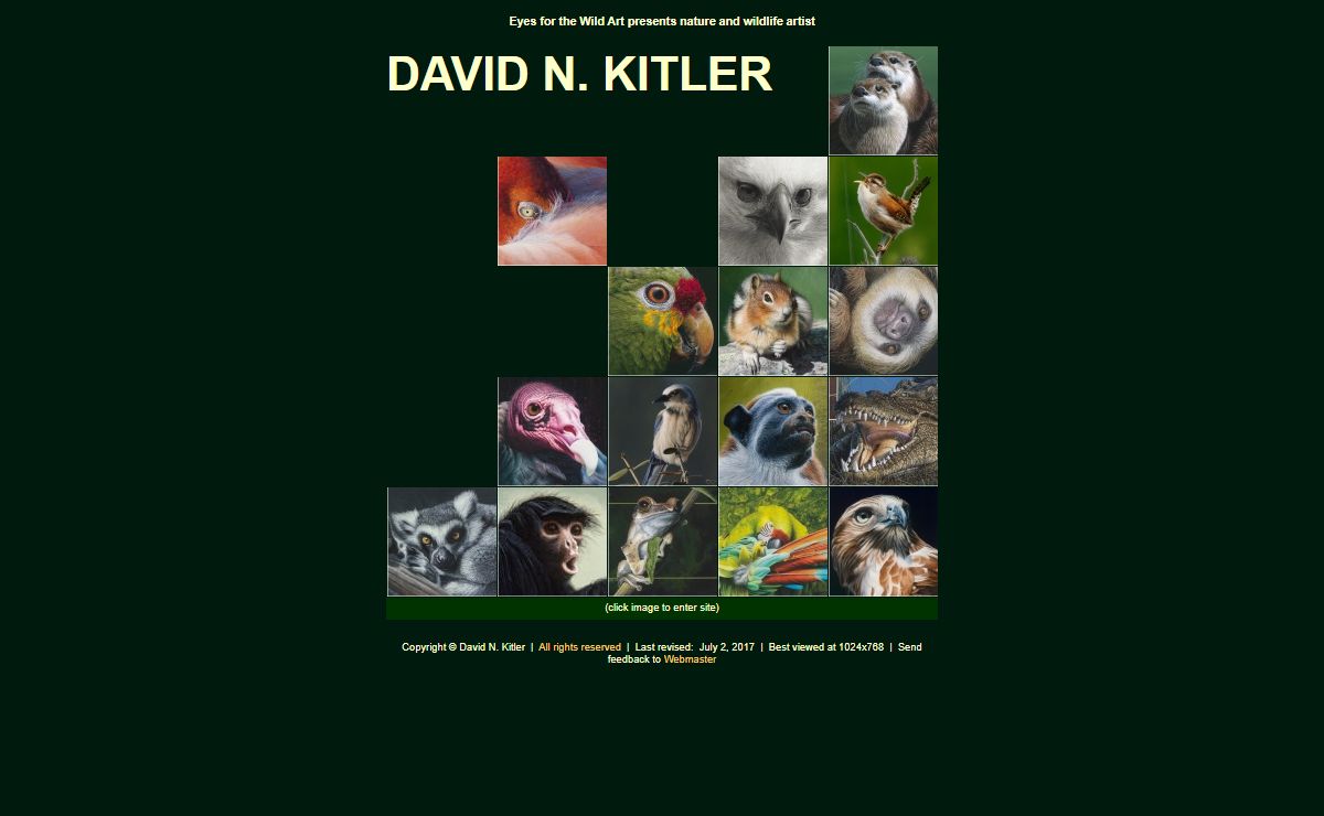 Wildlife Artist David N. Kitler - Online Gallery