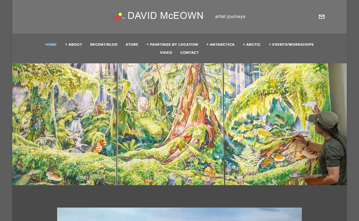 DAVID McEOWN artist journeys
