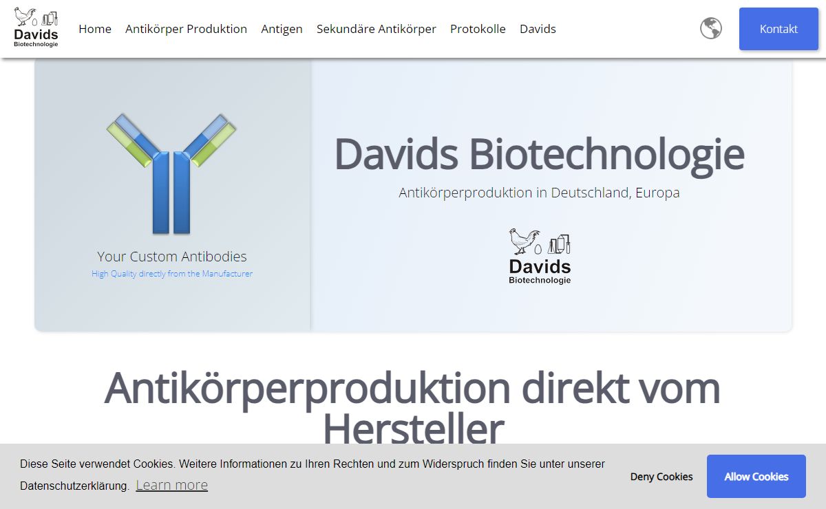Antikörperproduktion: Kaufen Sie Antikörper aus Deutschland