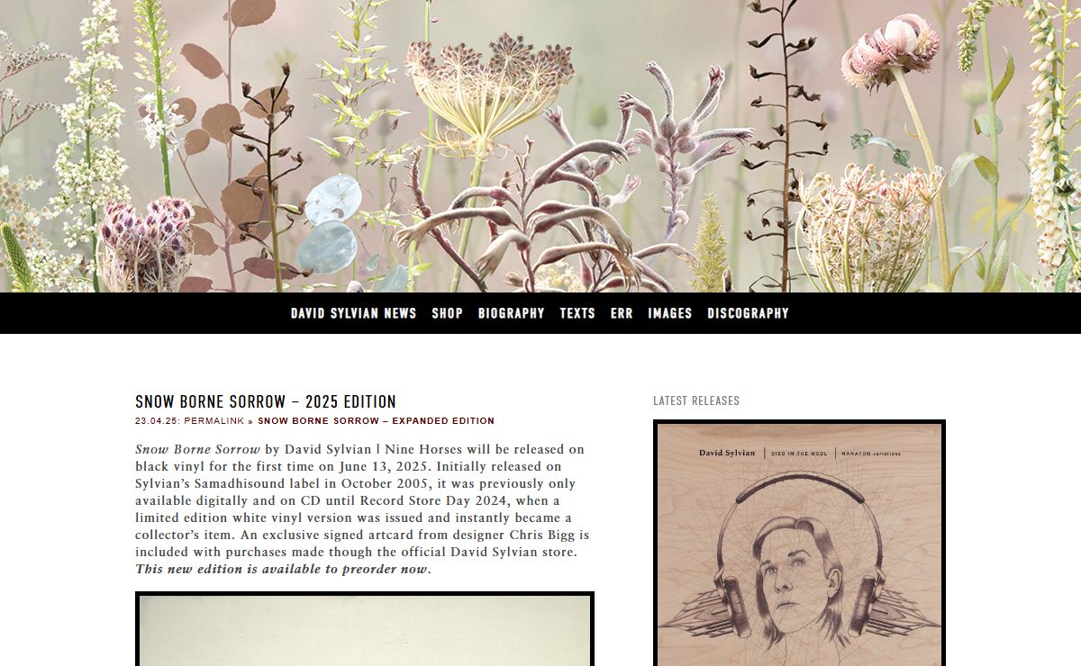 { davidsylvian.com } the official David Sylvian website