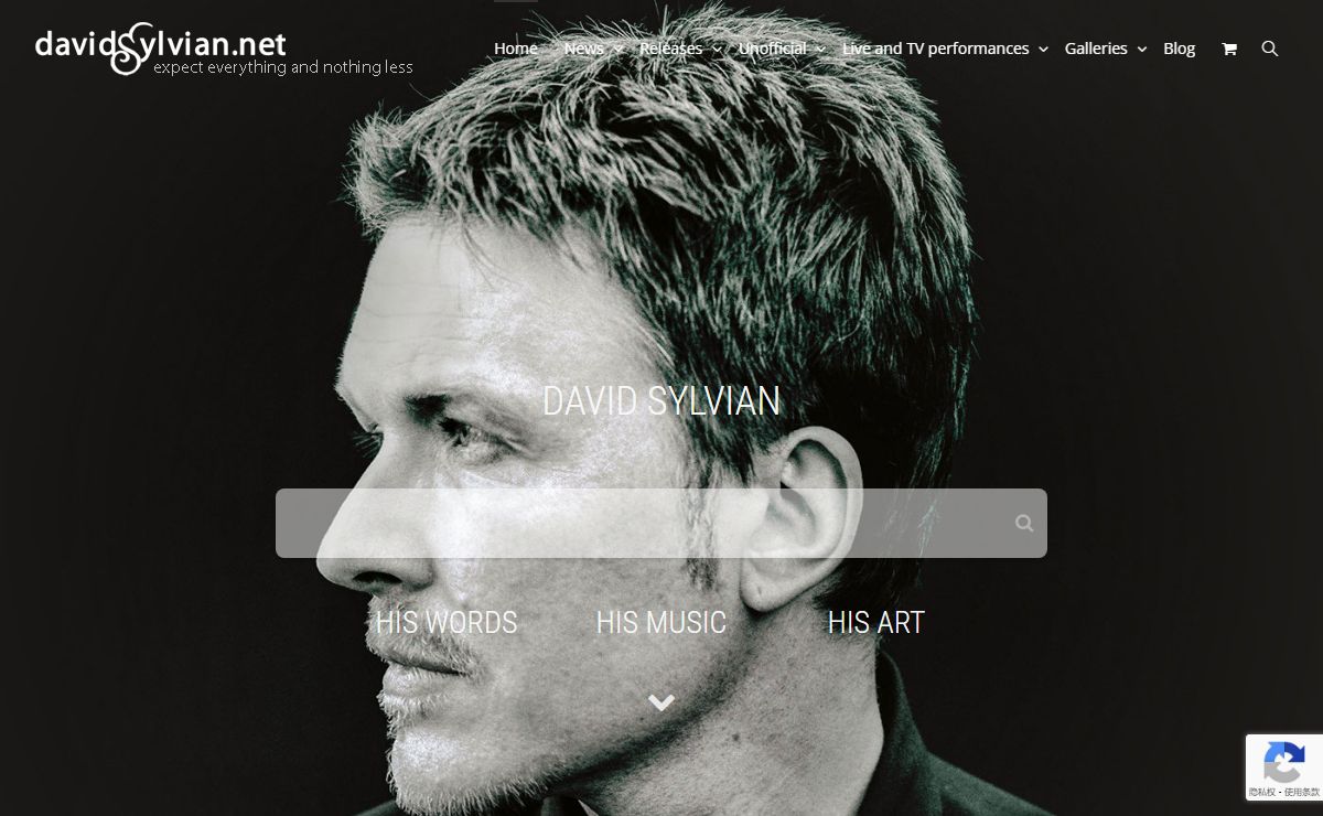 DavidSylvian.net - David Sylvian : Expect Everything And Nothing Less