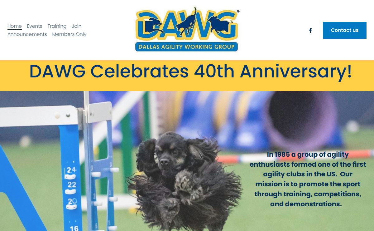 DAWG Dallas Agility Working Group