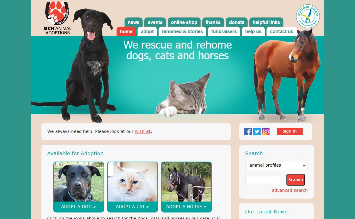 DCH Animal Adoptions - Dog, Cat and Horse Rescue