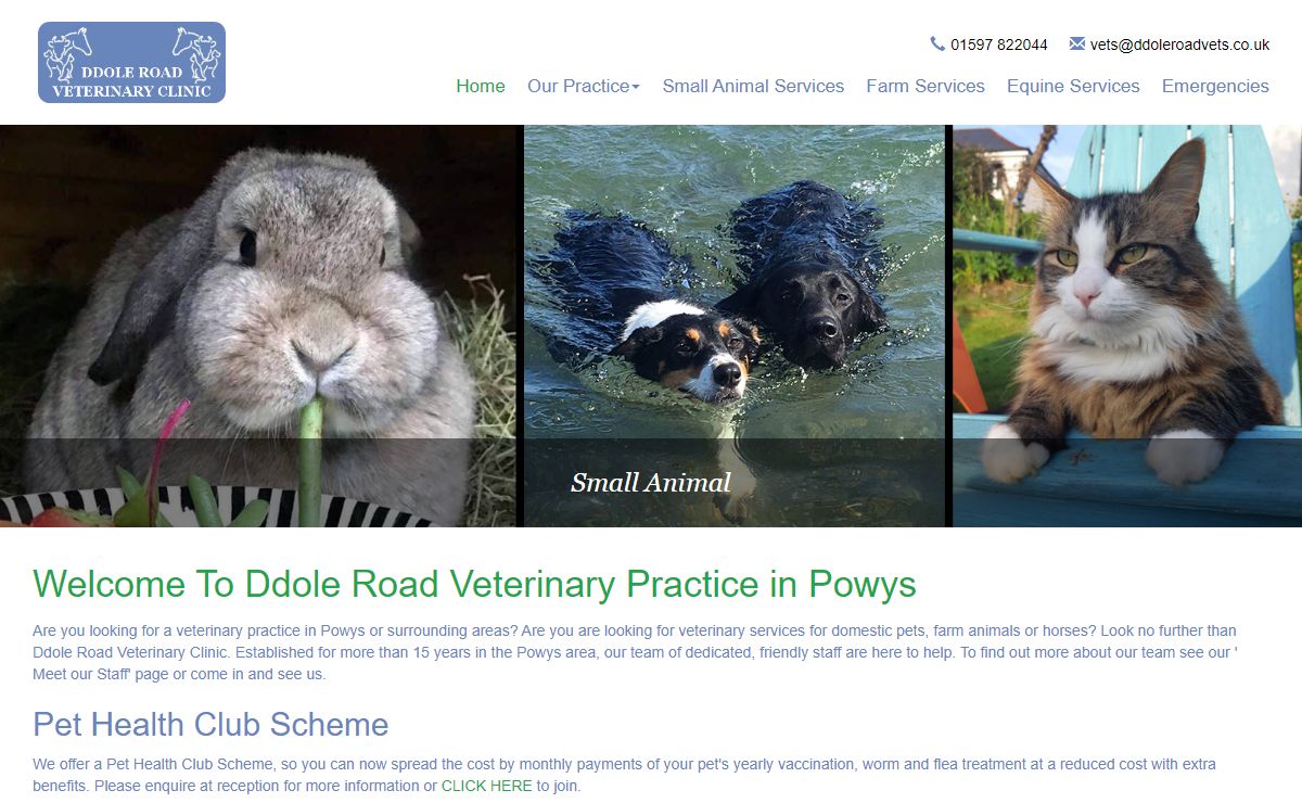 Ddole Vets In Powys | Farm Vets In Powys | Equine Vets In Powys