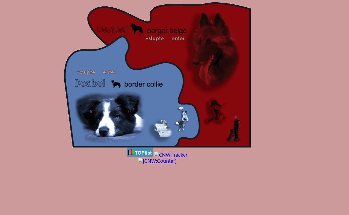 Kennel Deabei - belgický ovčák - border kolie - Berger Belge - Border Collie