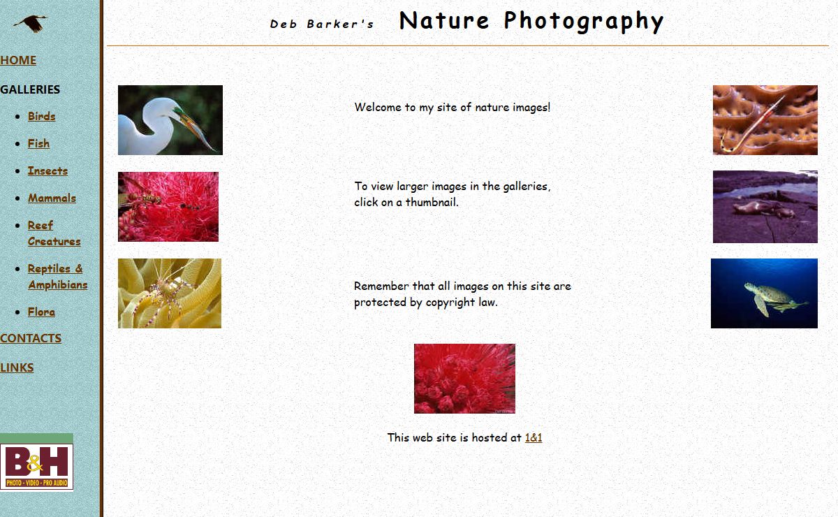 Deb Barker's Nature Photography