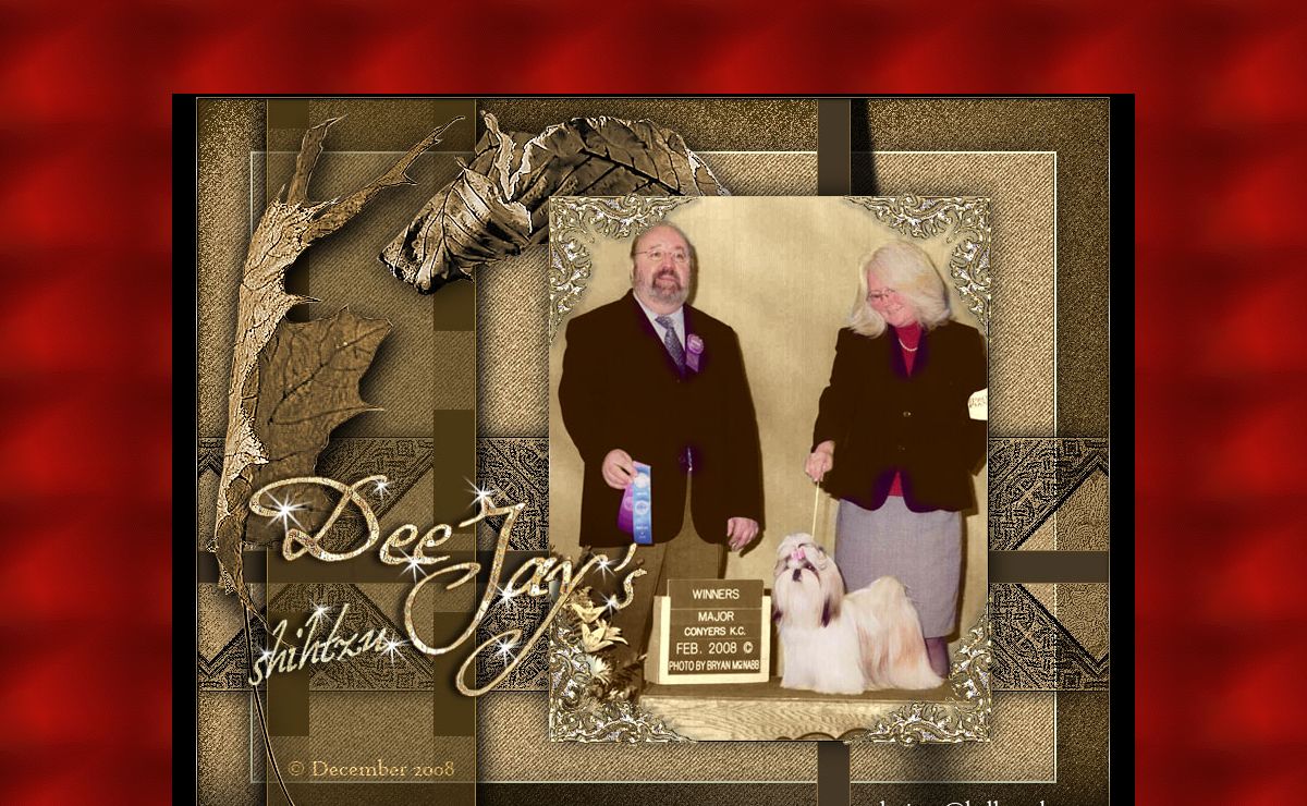Ga shih tzu, Shih tzu Georgia, Georgia Shih tzu, Dee-Jay's Shih tzu, I am a Georgia shih tzu breeder, that has shih tzu puppies for sale in georgia near Atlanta, Ga. "website to find shih tzu puppies for sale GA, Atlanta,NC,NC shih tzu breeder,shih tzu puppies GA,shihtzu breeders GA,shih tzu breeder NC,AKC shih tzu,NC shih tzu puppies for sale,shih tzu for sale,Home of champion shih tzu puppies,home of akc shih tzu puppies NC,shih tzu puppy, shih tzu dogs" Home, Shih Tzu Puppies For Sale, shih tzu champion, bloodlines, shih tzu male, shih tzu female, shih tzu breeder, Dog shipping, shih tzu puppies, ga, Ga, Georgia, georgia puppy breeder, AKC puppies, AKC puppies Ga, AKC puppies Georgia, georgia breeder, Atlanta Shihtzu Club, shihtzu club, shih tzu club ga, Georgia shih tzu, Ga shih tzu breeders, Georgia shihtzu, shih tzu ga, Shihtzu Georgia, Shihtzu puppies ga, ala, Tn, Sc, NC, Fla, Ms, Miss, La
