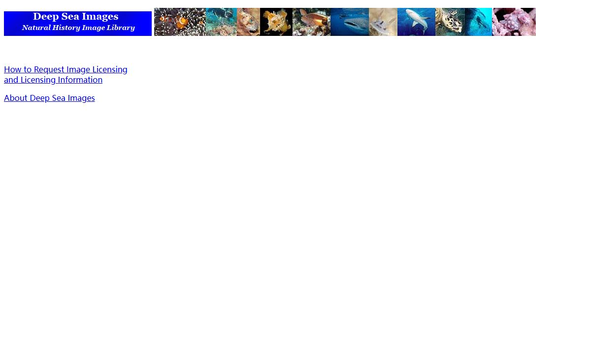 DSI Title Page