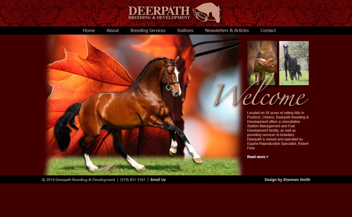 Deerpath Breeding and Development Stallion Management Foal Handling and Development Broodmare Care Horses for Sale Stallion Breeding Services Stallions Standing at Stud Live Cover Frozen Semen Breeding Guelph Toronto Canada