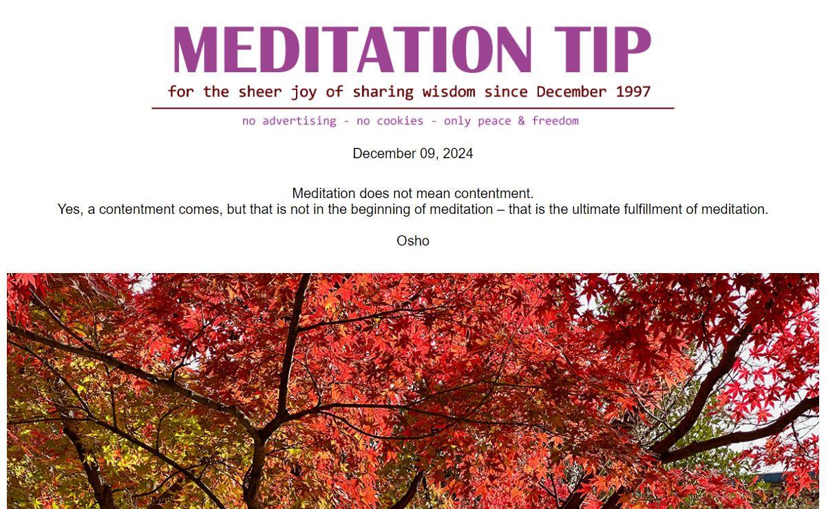The Meditation Tip. Daily Wisdom. Meditation quotes
