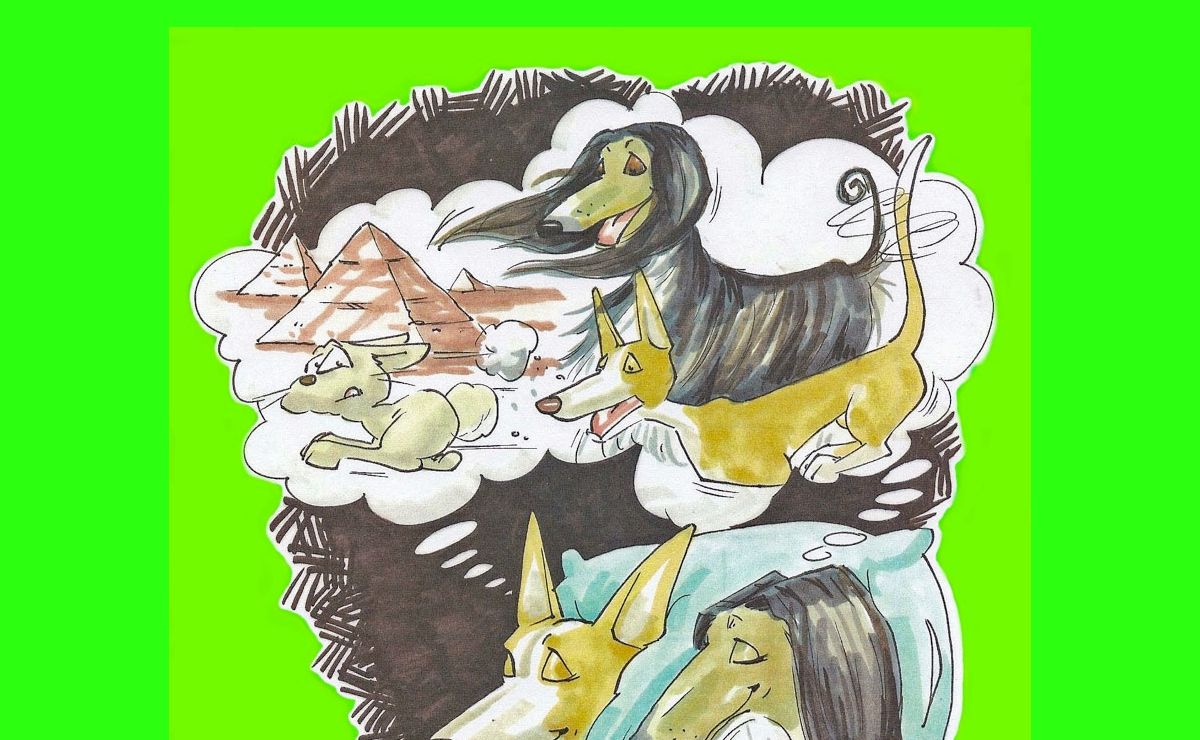 DeJa'Vue Hounds