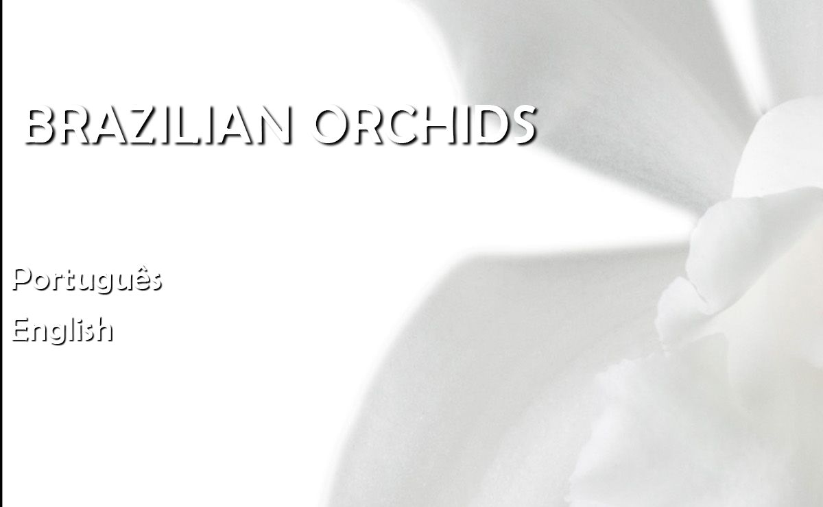 Brazilian Orchids