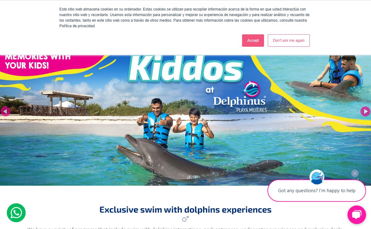 Swim with dolphins in Mexico | Delphinus