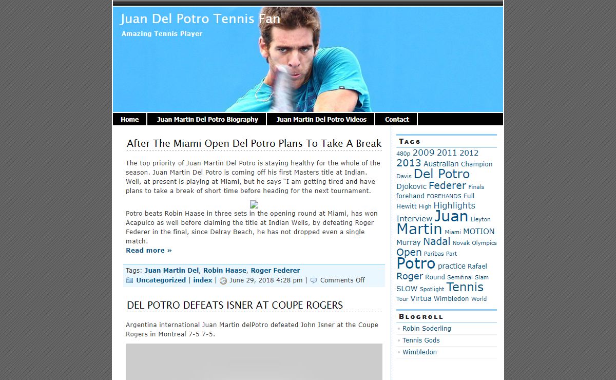 Juan Del Potro Tennis Fan