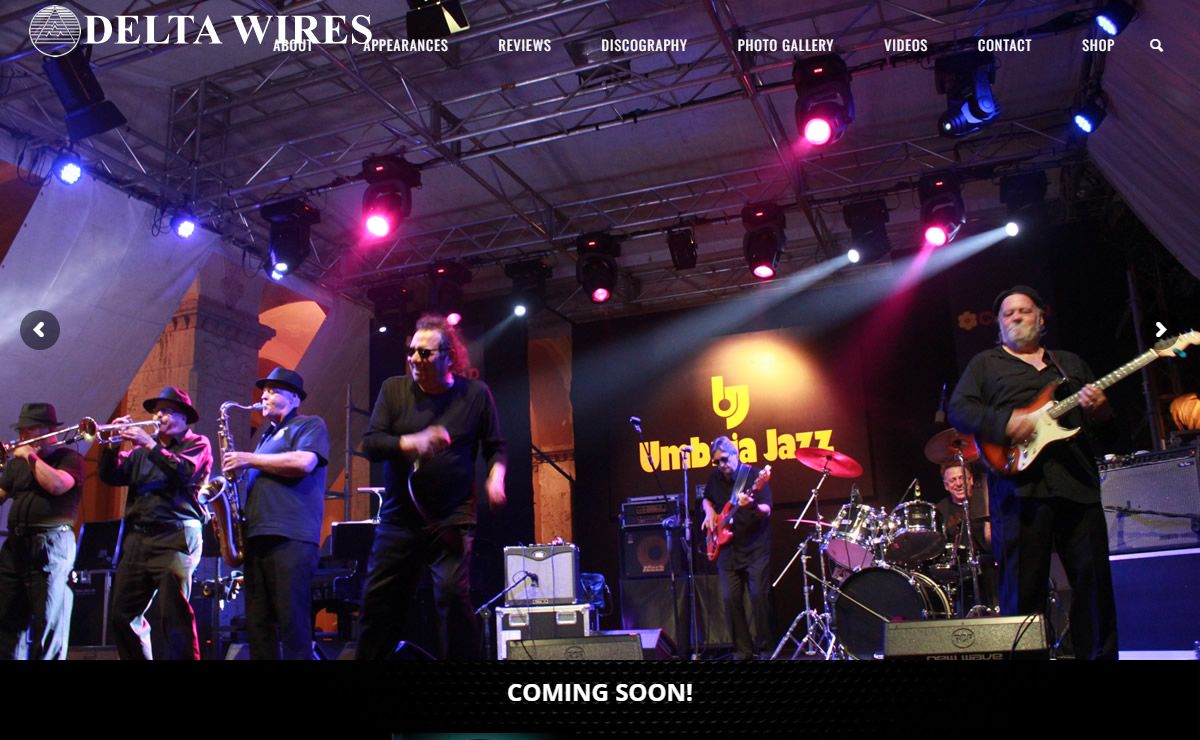 Delta Wires | Rockin' Big Band Harmonica and Horns Blues