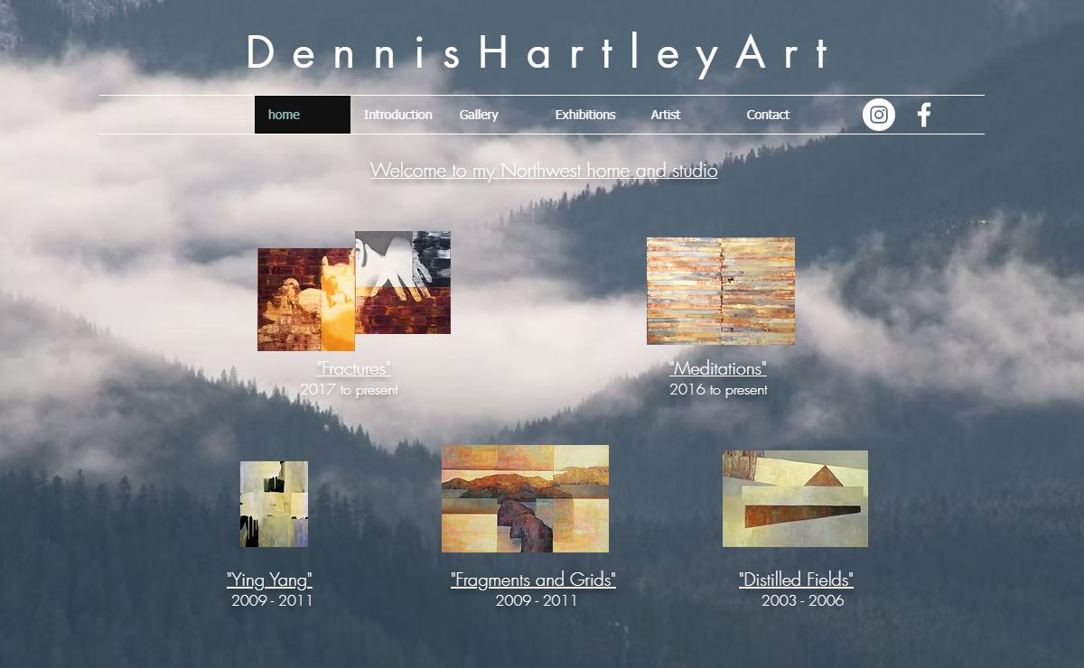 Contemporary abstract painter