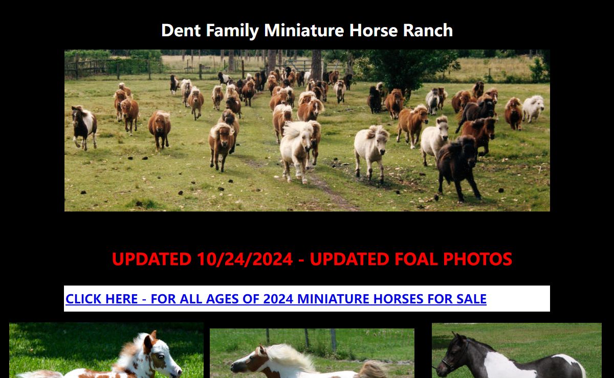Dent Family Miniature Horse Ranch - miniature horses for sale
