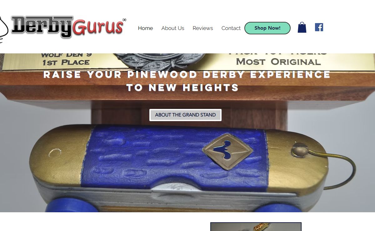 Pinewood Derby Display Stand | DerbyGurus | United States