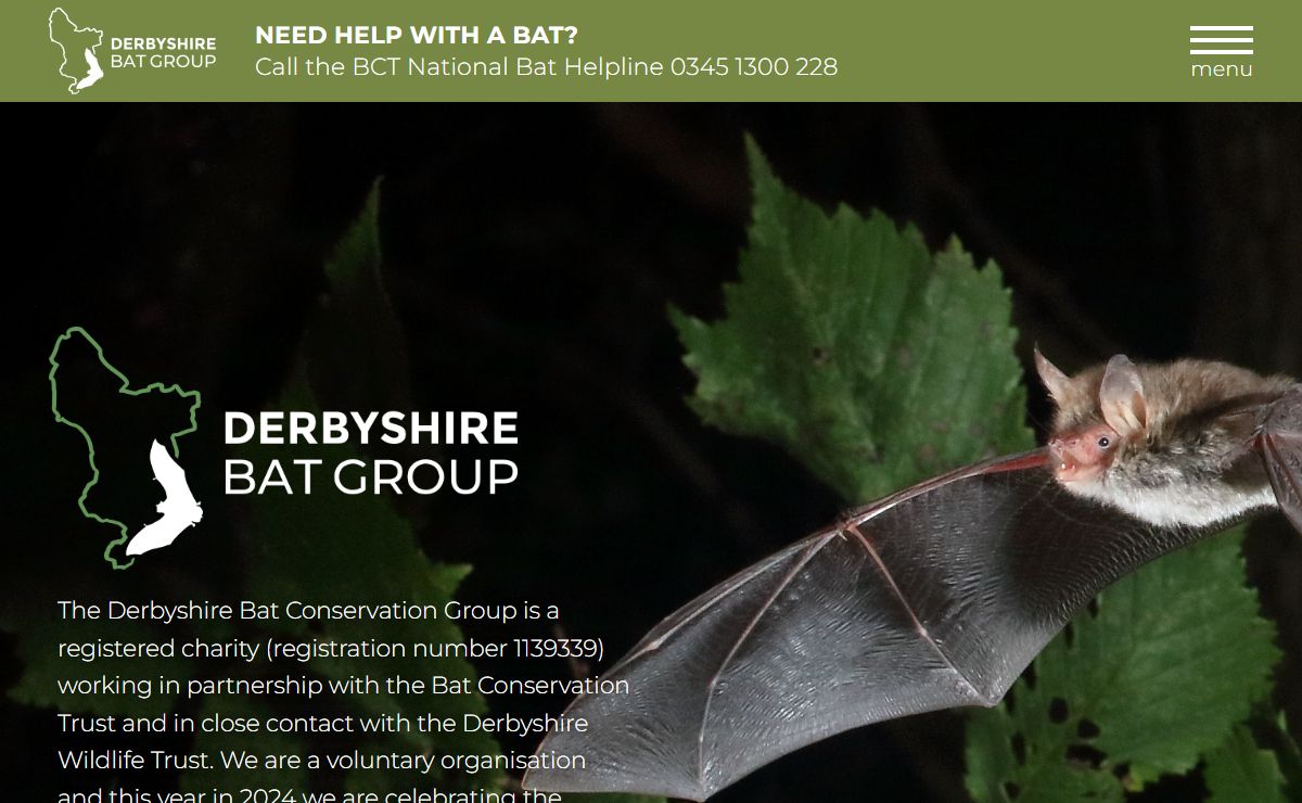Derbyshire Bat Group