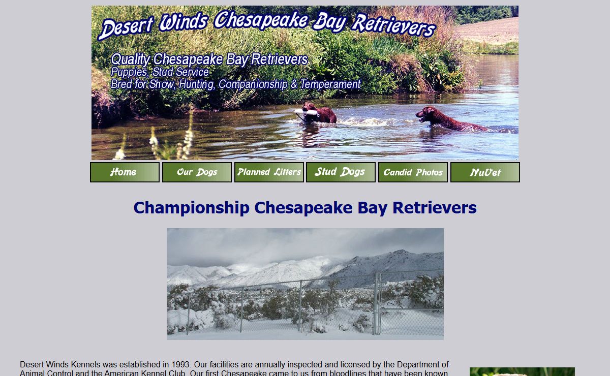 Desert Winds Chesapeake Bay Retrievers - Home