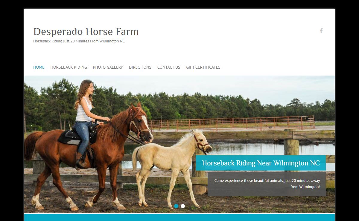Desperado Horse Farm – Horseback Riding Just 20 Minutes From Wilmington NC
